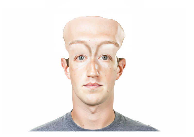 Datei:Cursed Zuckerberg.png